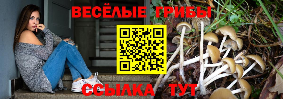 Псилоцибиновые грибы MAGIC MUSHROOMS Абинск